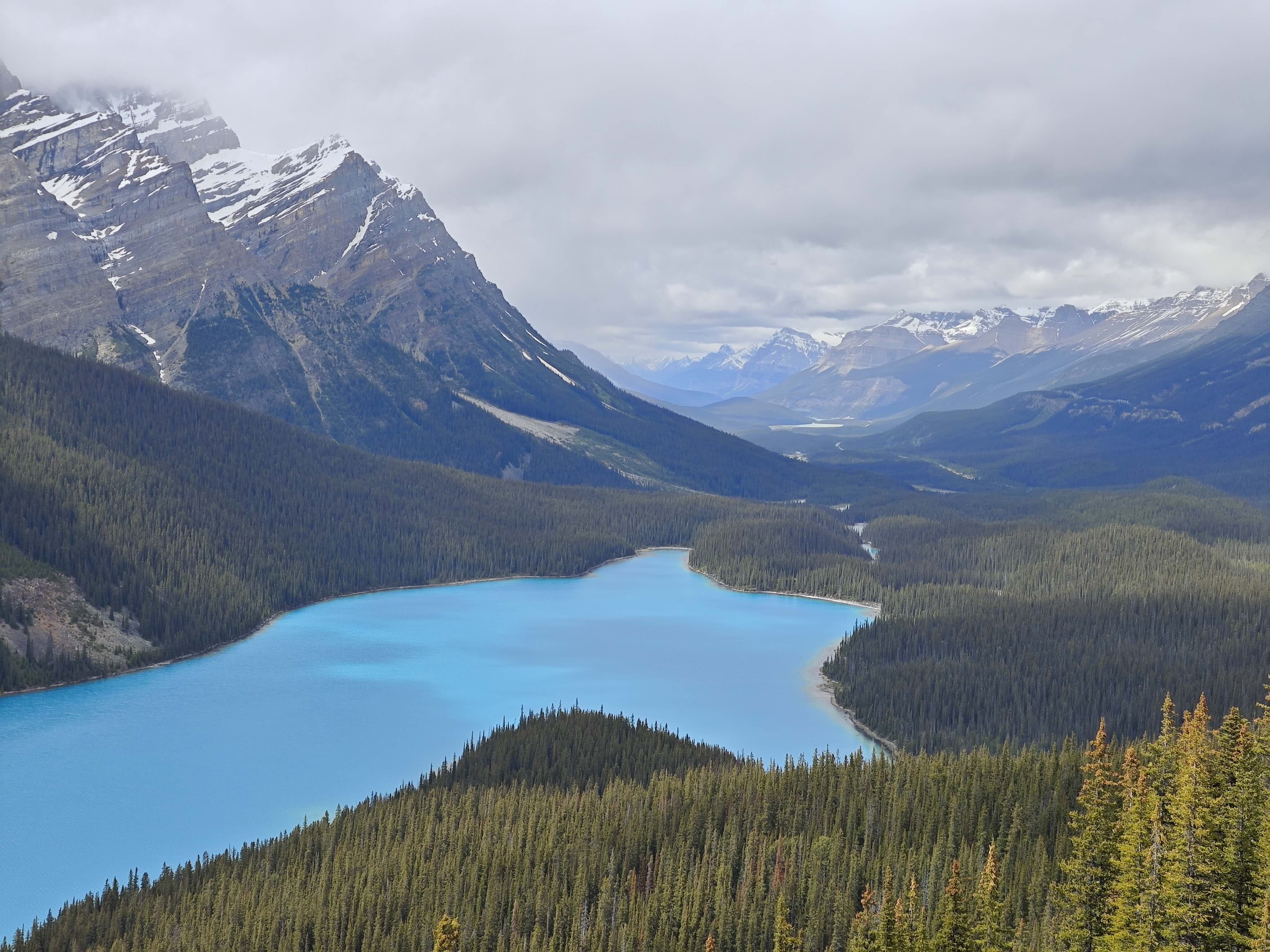 peyto